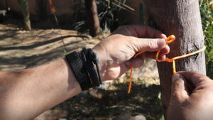 2 Useful Camp Knots - Simple Camp Knots