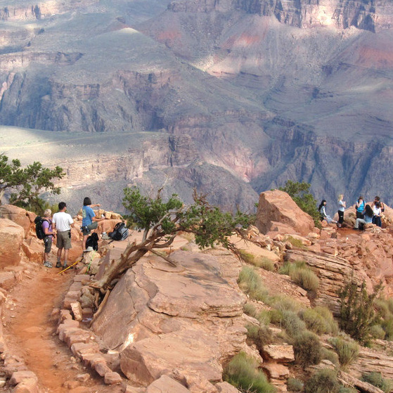 Master Essential Desert Survival Skills